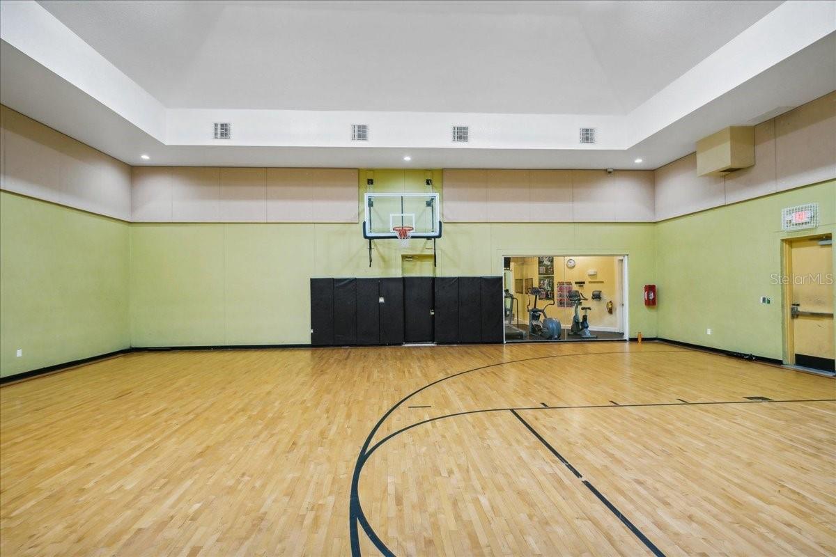 4207 S DALE MABRY HWY #5307, TAMPA, FL, 33611