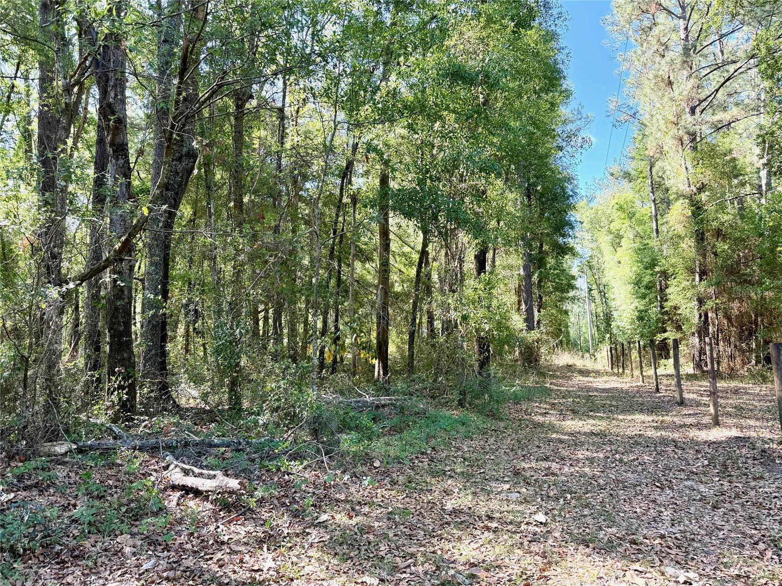 25104 N COUNTY ROAD 1491, ALACHUA, FL, 32615