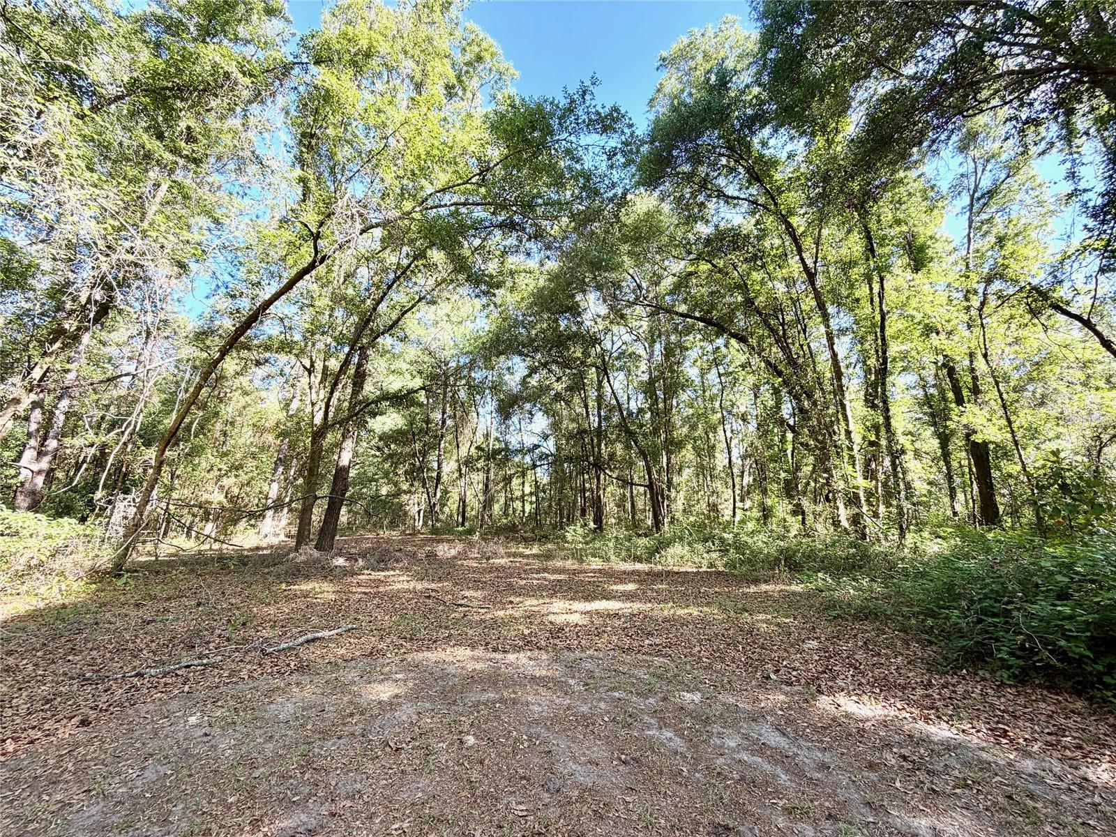 25104 N COUNTY ROAD 1491, ALACHUA, FL, 32615