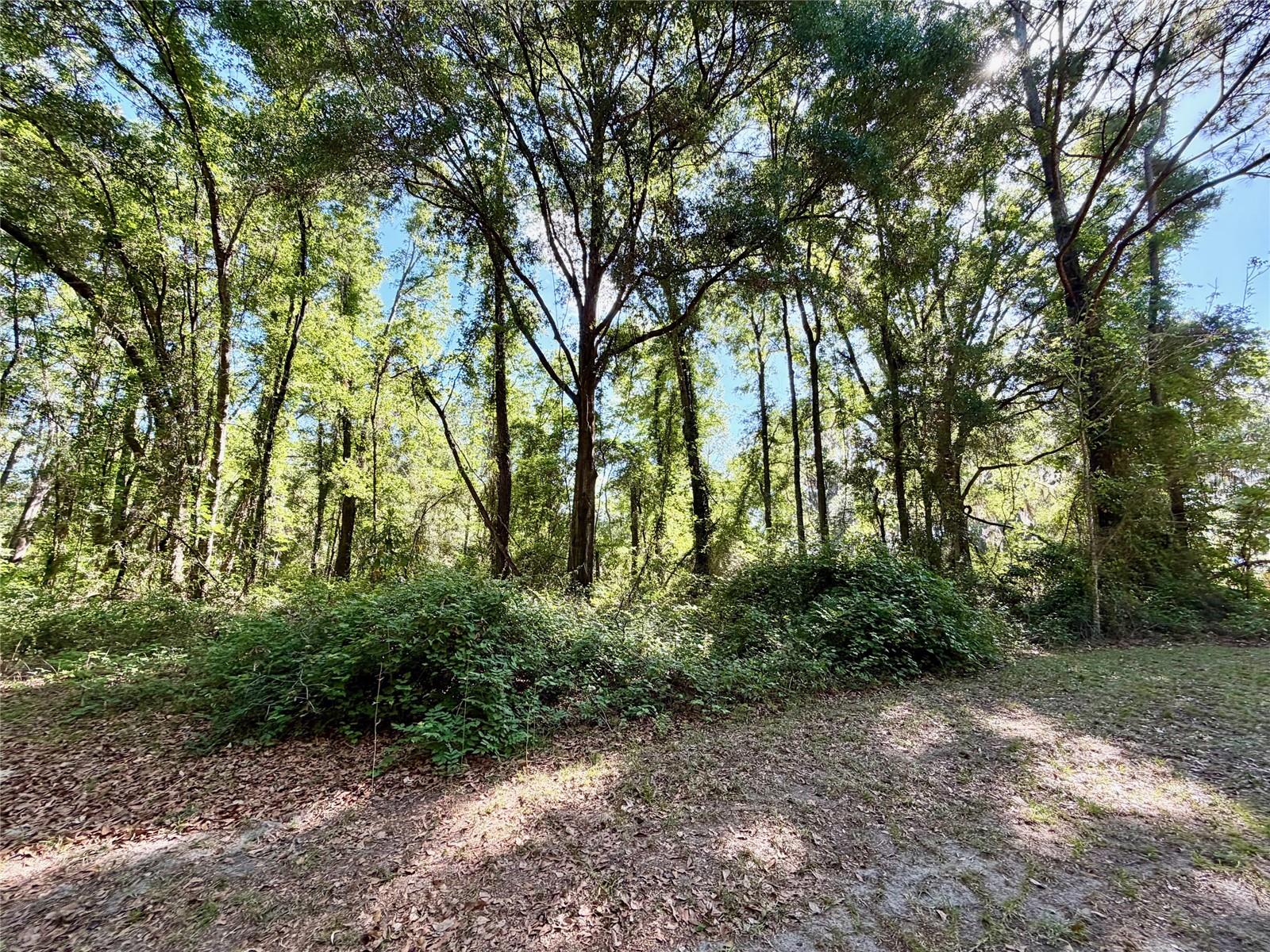 25104 N COUNTY ROAD 1491, ALACHUA, FL, 32615