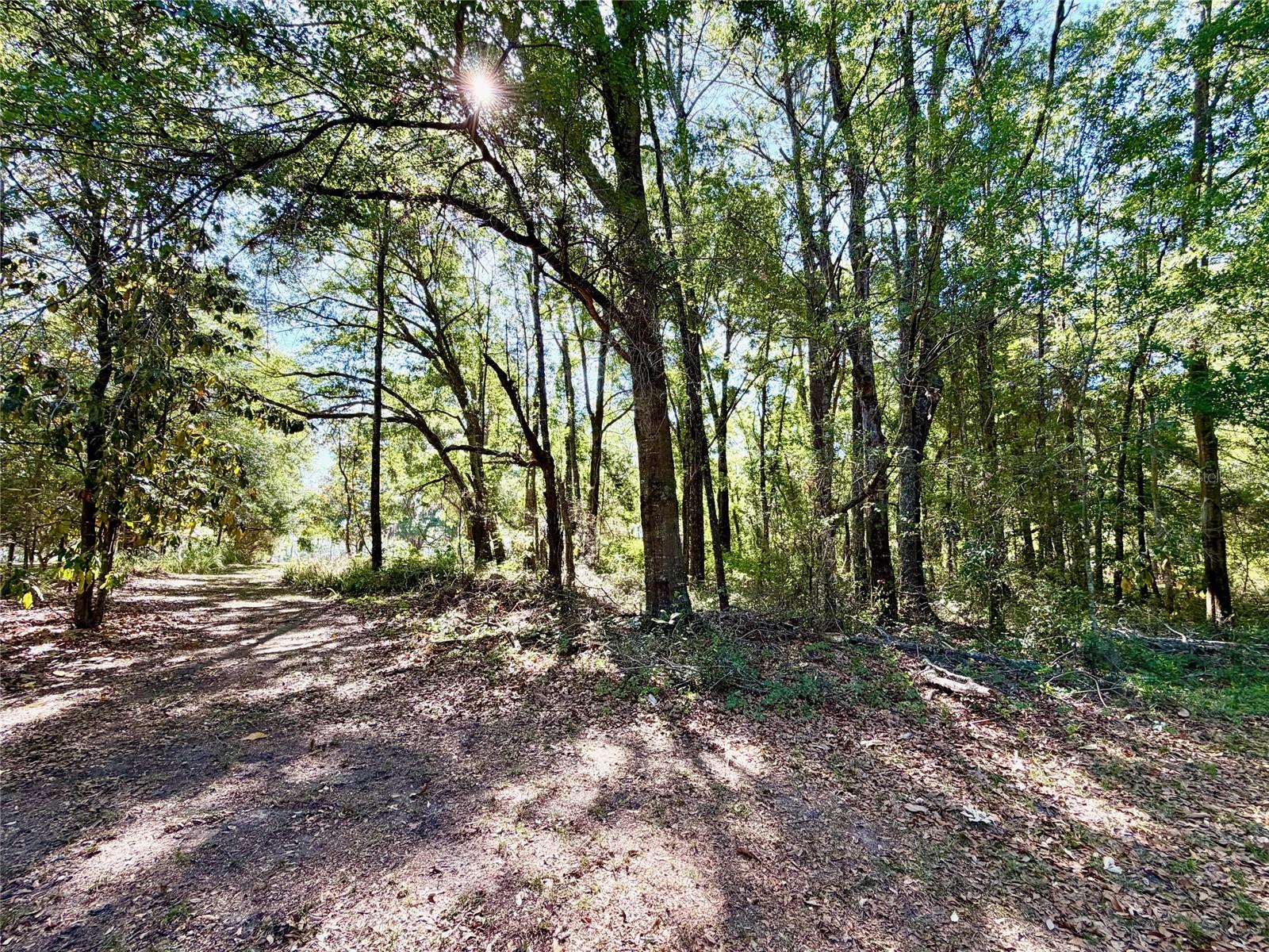 25104 N COUNTY ROAD 1491, ALACHUA, FL, 32615