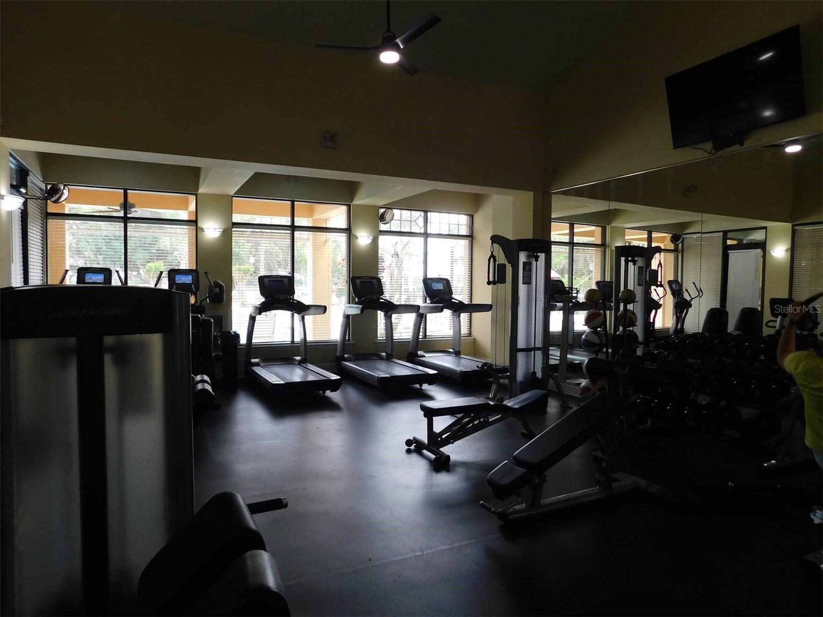 13836 BLUEBIRD POND RD, WINDERMERE, FL, 34786