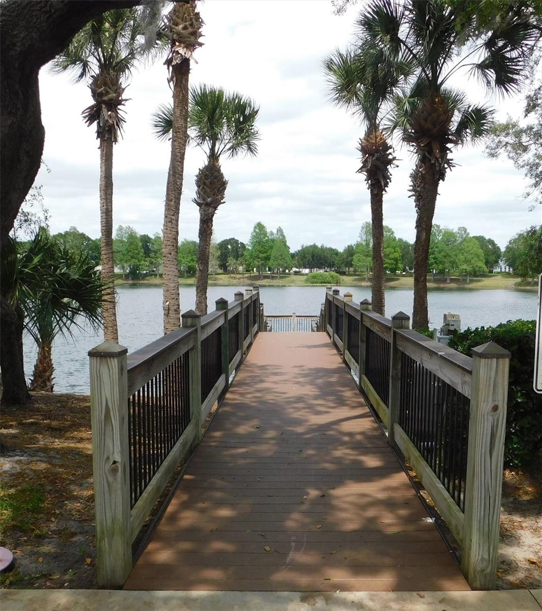 13836 BLUEBIRD POND RD, WINDERMERE, FL, 34786