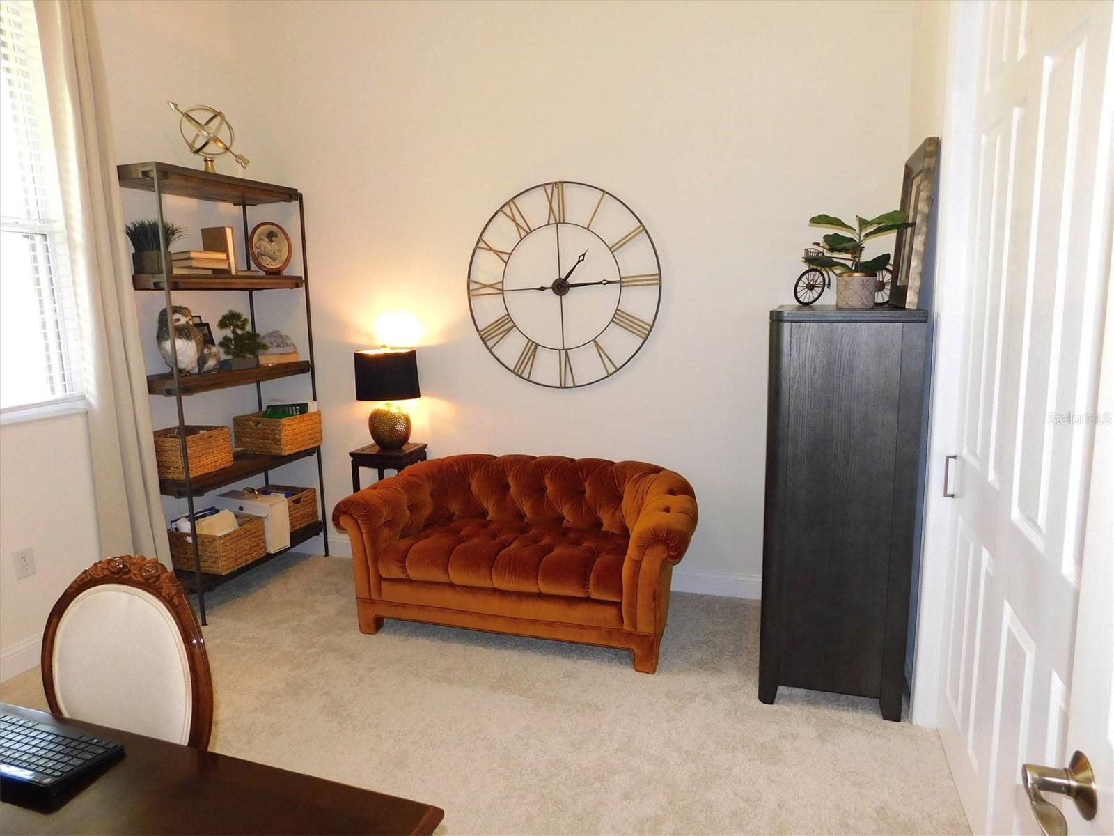 13836 BLUEBIRD POND RD, WINDERMERE, FL, 34786