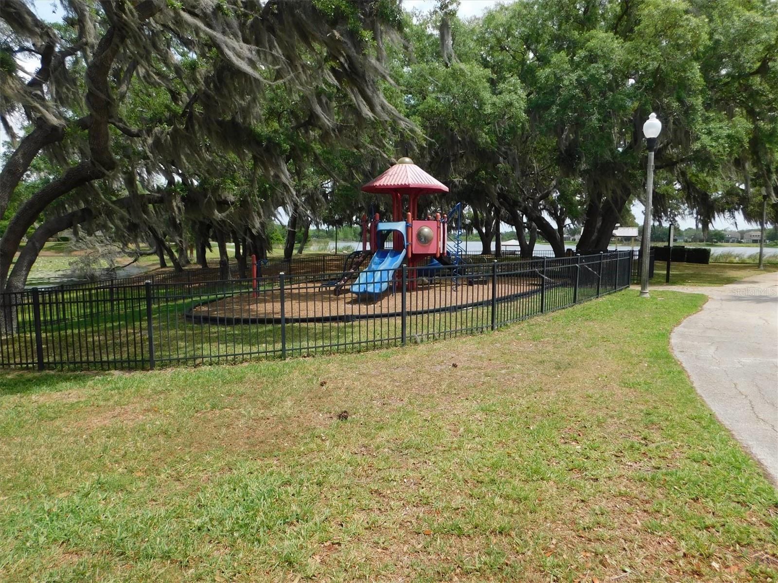 13836 BLUEBIRD POND RD, WINDERMERE, FL, 34786