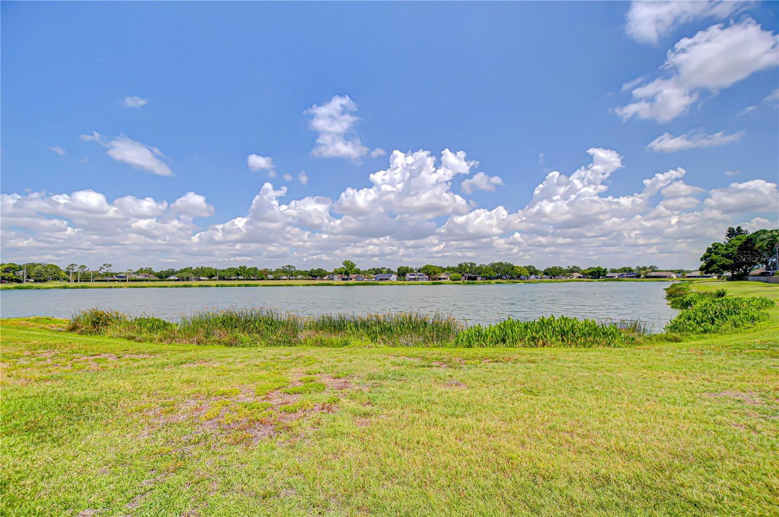 1428 SHELL FLOWER DR, BRANDON, FL, 33511