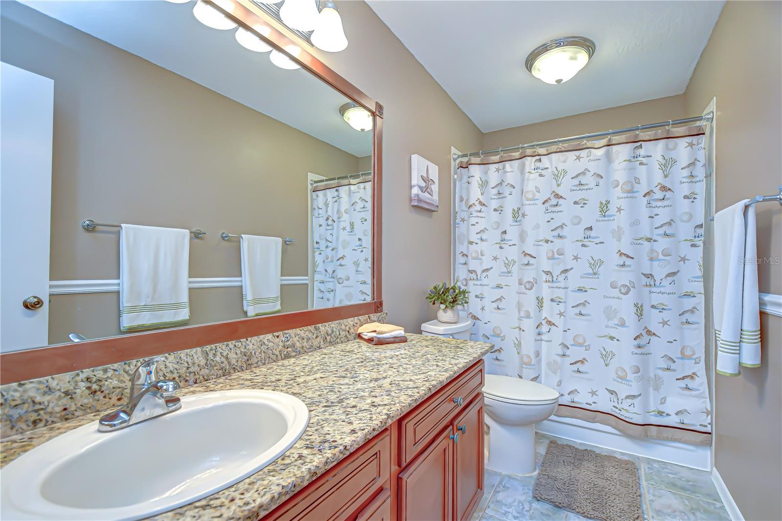 1428 SHELL FLOWER DR, BRANDON, FL, 33511