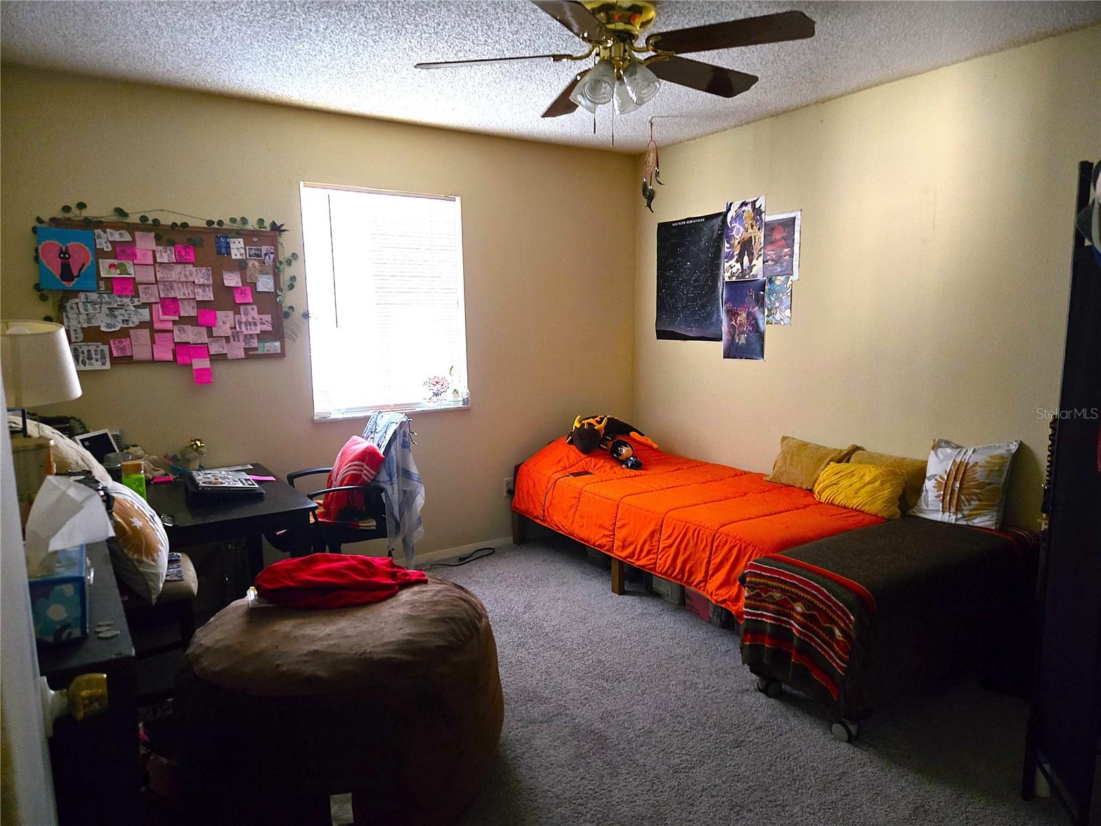 6519 W NEWBERRY RD #204, GAINESVILLE, FL, 32605