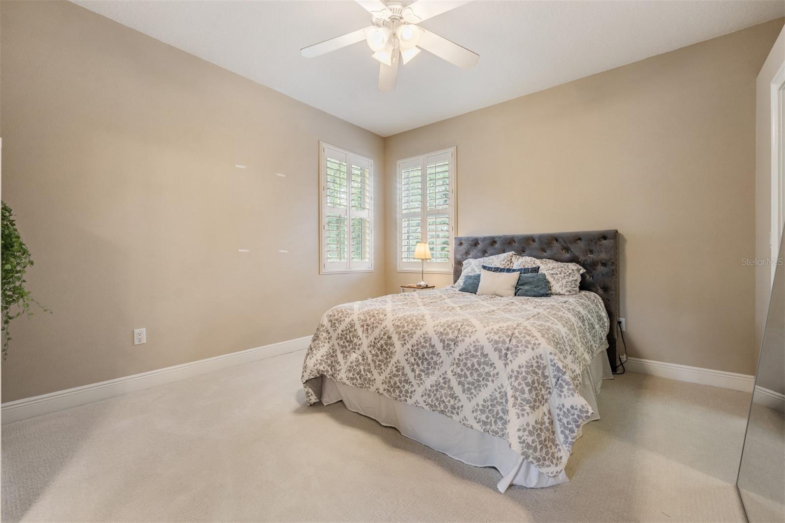 1575 QUAIL DR, DUNEDIN, FL, 34698
