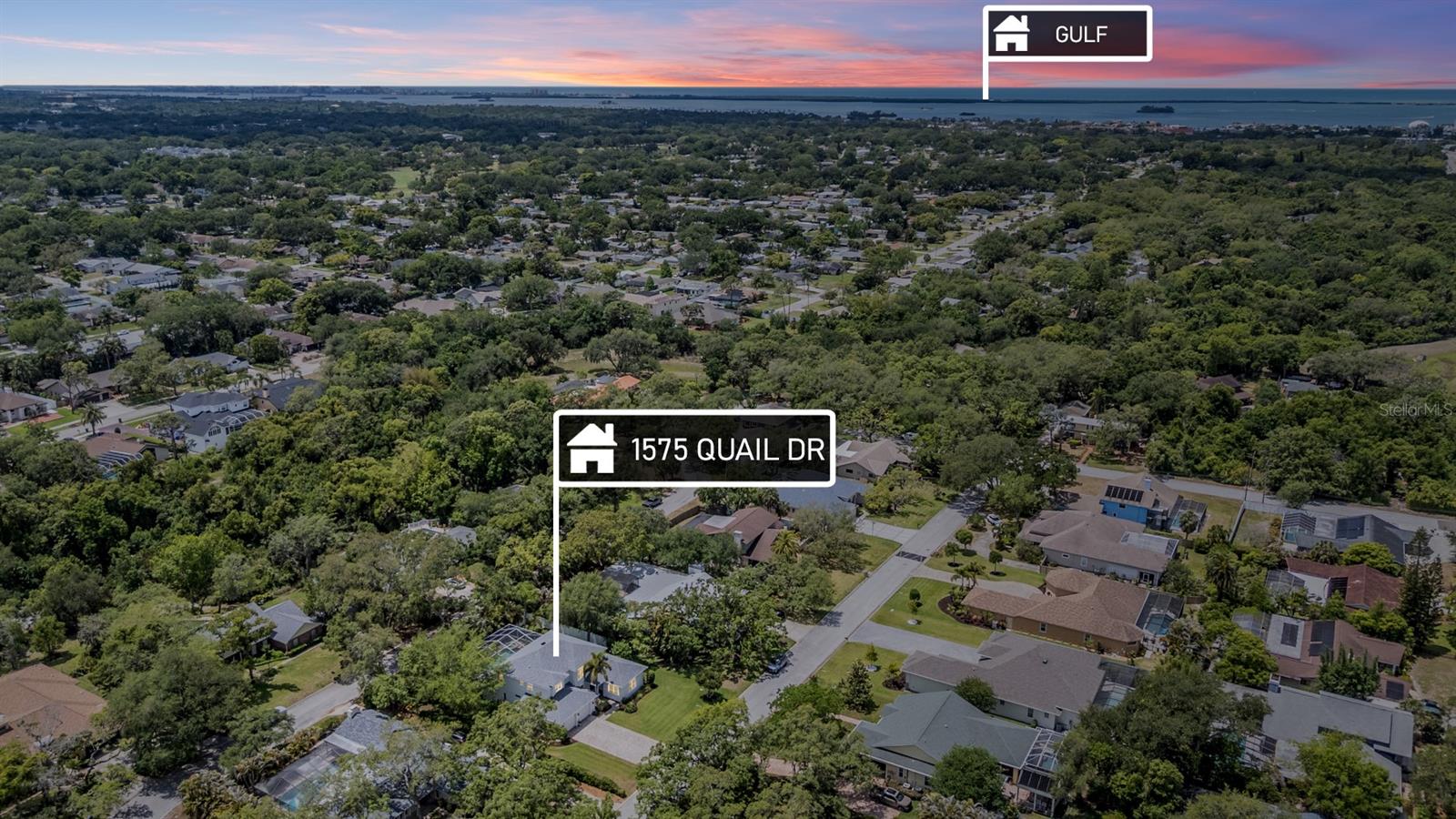 1575 QUAIL DR, DUNEDIN, FL, 34698