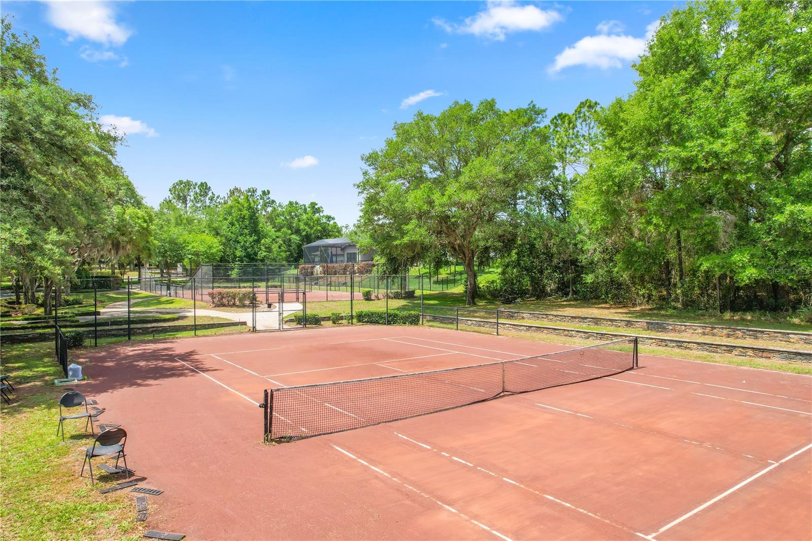 25863 CROSSINGS BLUFF LN, SORRENTO, FL, 32776