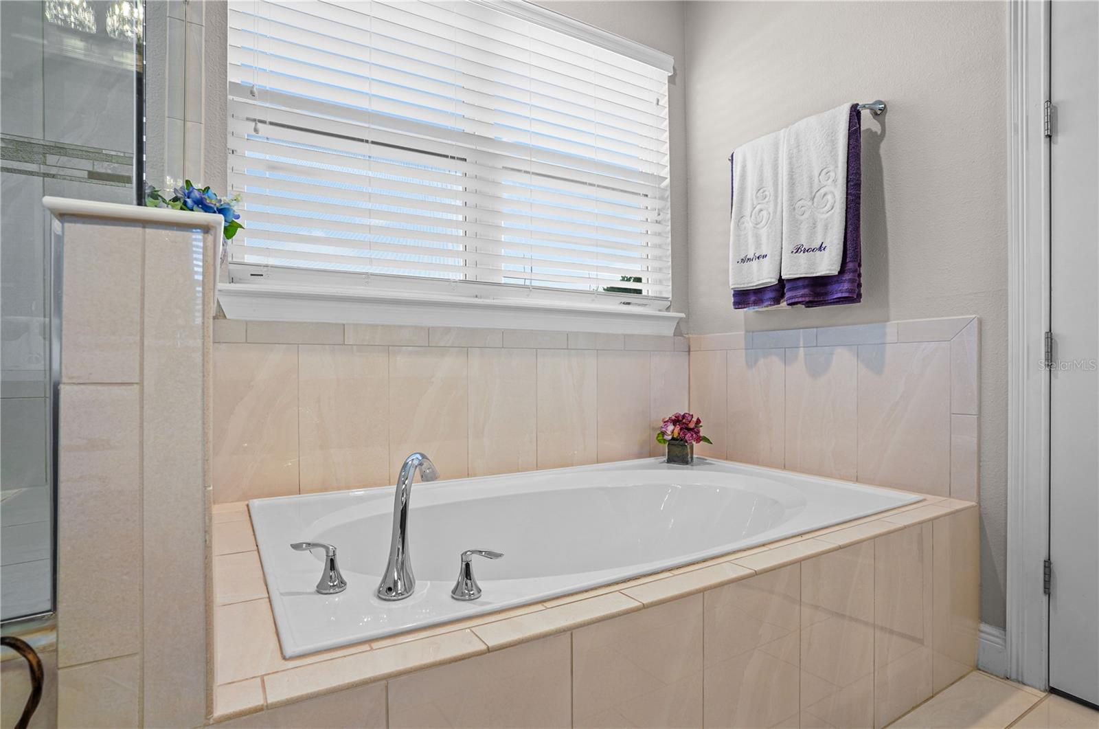 25863 CROSSINGS BLUFF LN, SORRENTO, FL, 32776