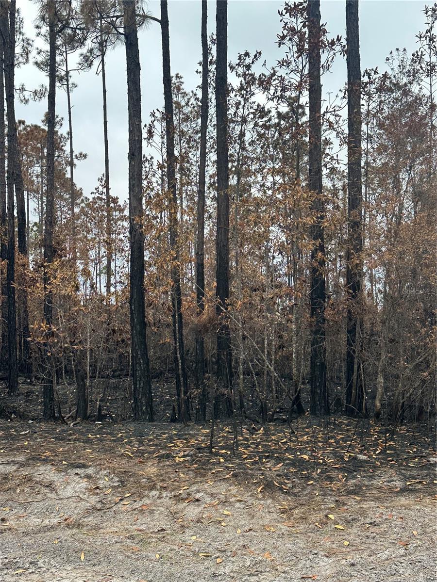 TBD NW 2ND AVE, PALATKA, FL, 32177