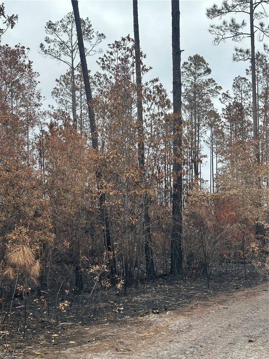 TBD NW 2ND AVE, PALATKA, FL, 32177