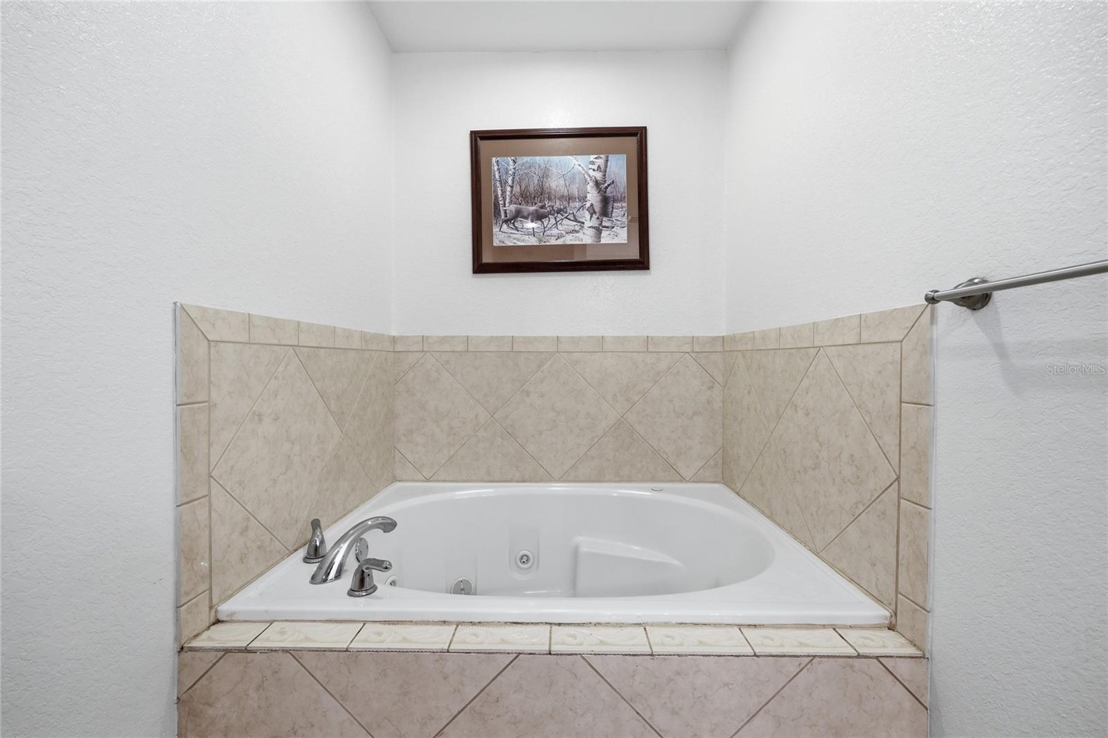 399 NE 899TH ST, OLD TOWN, FL, 32680