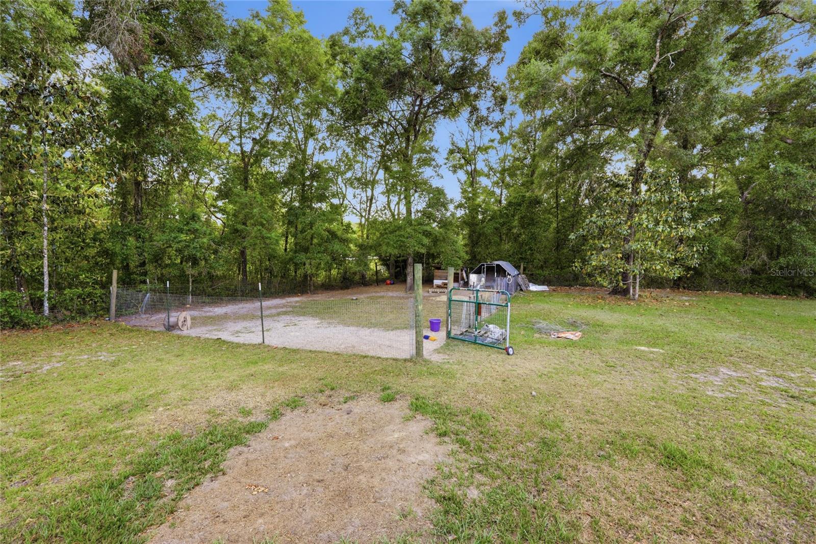 399 NE 899TH ST, OLD TOWN, FL, 32680