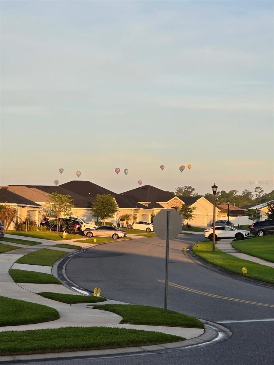 1450 CYPRESS VIEW LN, LAKELAND, FL, 33811