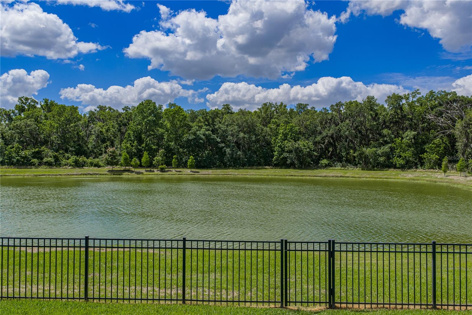 1450 CYPRESS VIEW LN, LAKELAND, FL, 33811