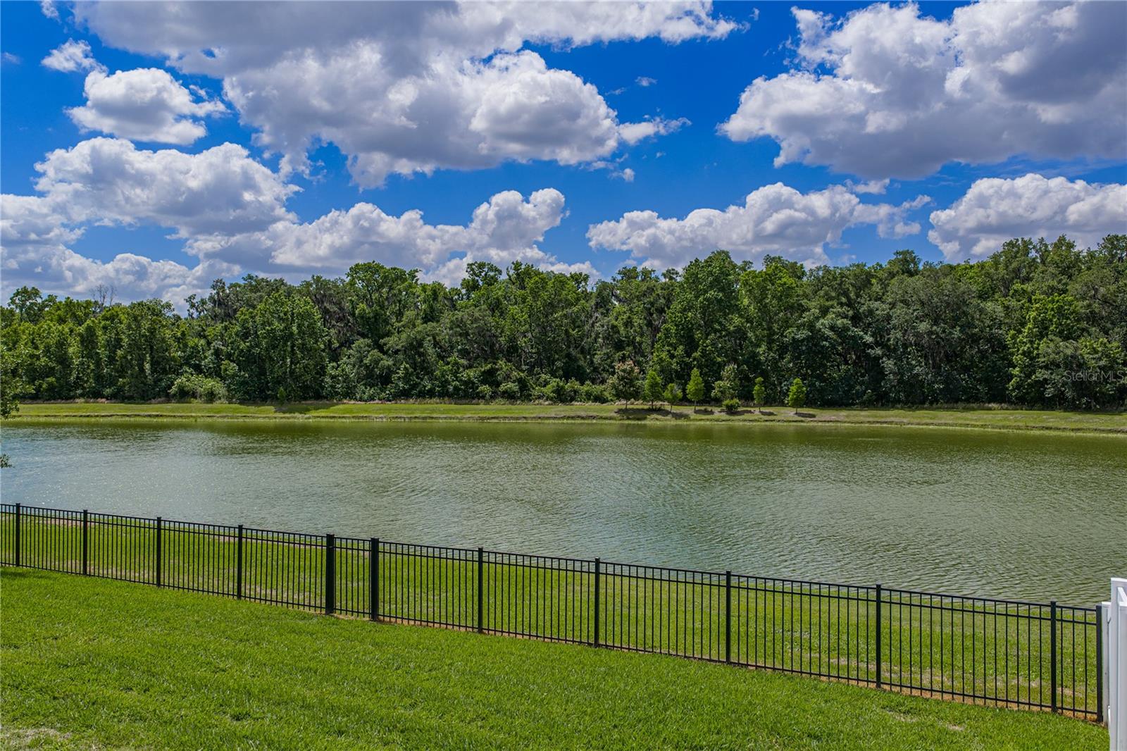 1450 CYPRESS VIEW LN, LAKELAND, FL, 33811