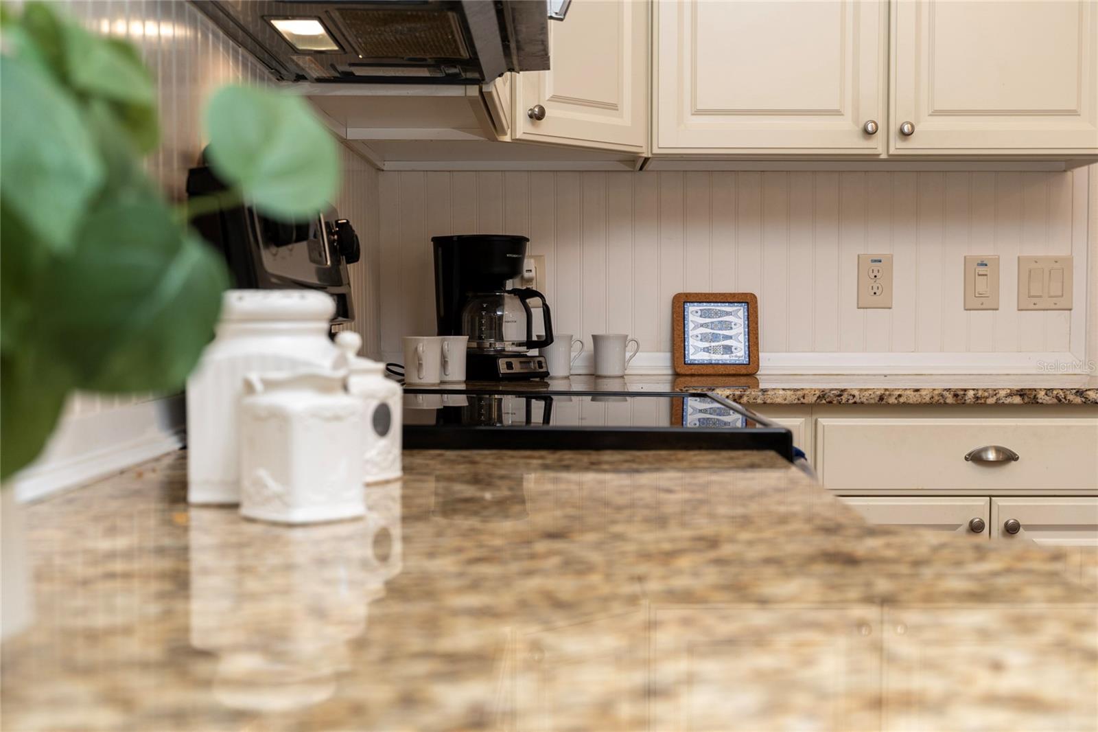 854 FENWICK LOOP, THE VILLAGES, FL, 32163