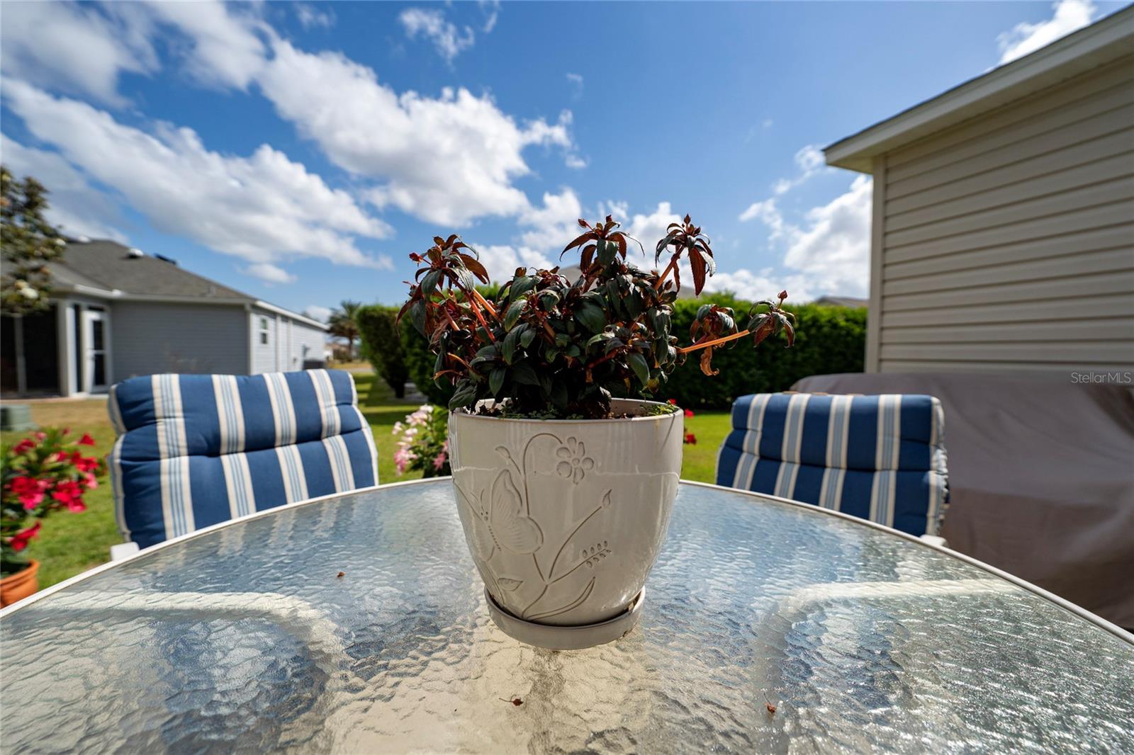 854 FENWICK LOOP, THE VILLAGES, FL, 32163