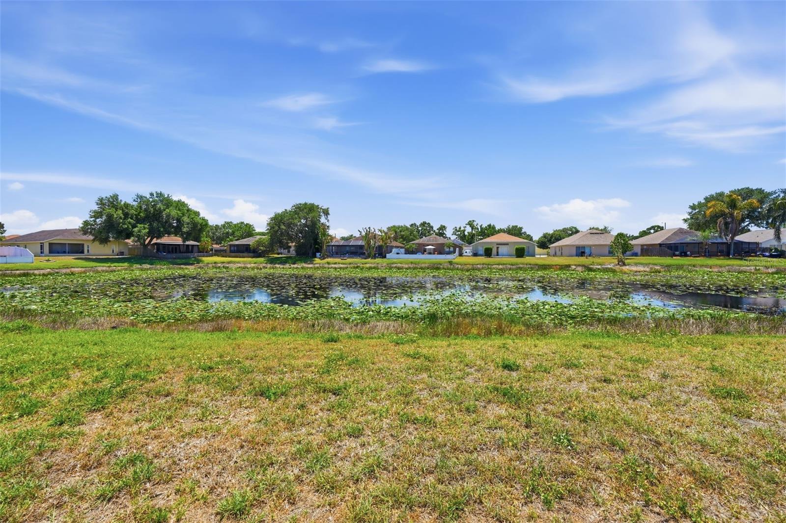 10513 GOLDWATER LN, RIVERVIEW, FL, 33578