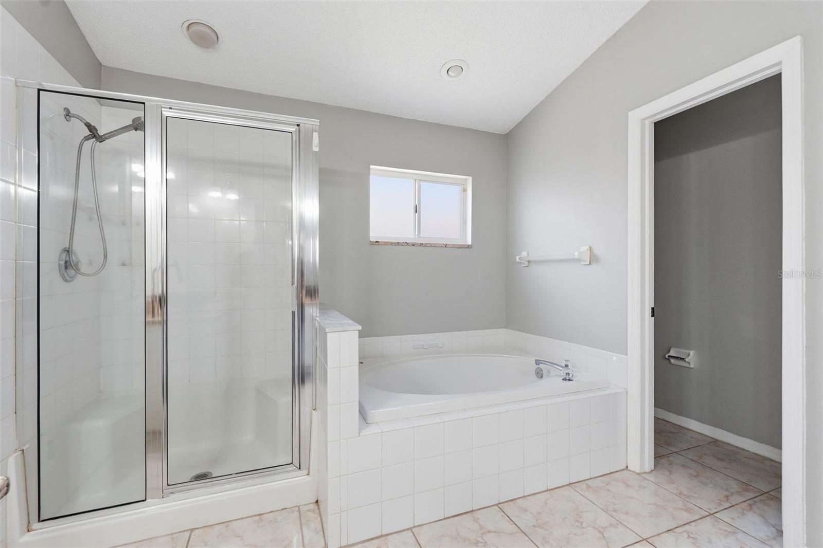 10513 GOLDWATER LN, RIVERVIEW, FL, 33578