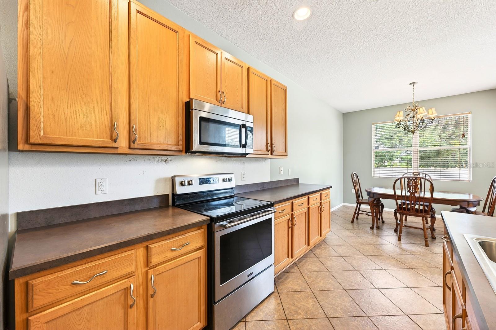 1681 STRATHMORE CIR, MOUNT DORA, FL, 32757
