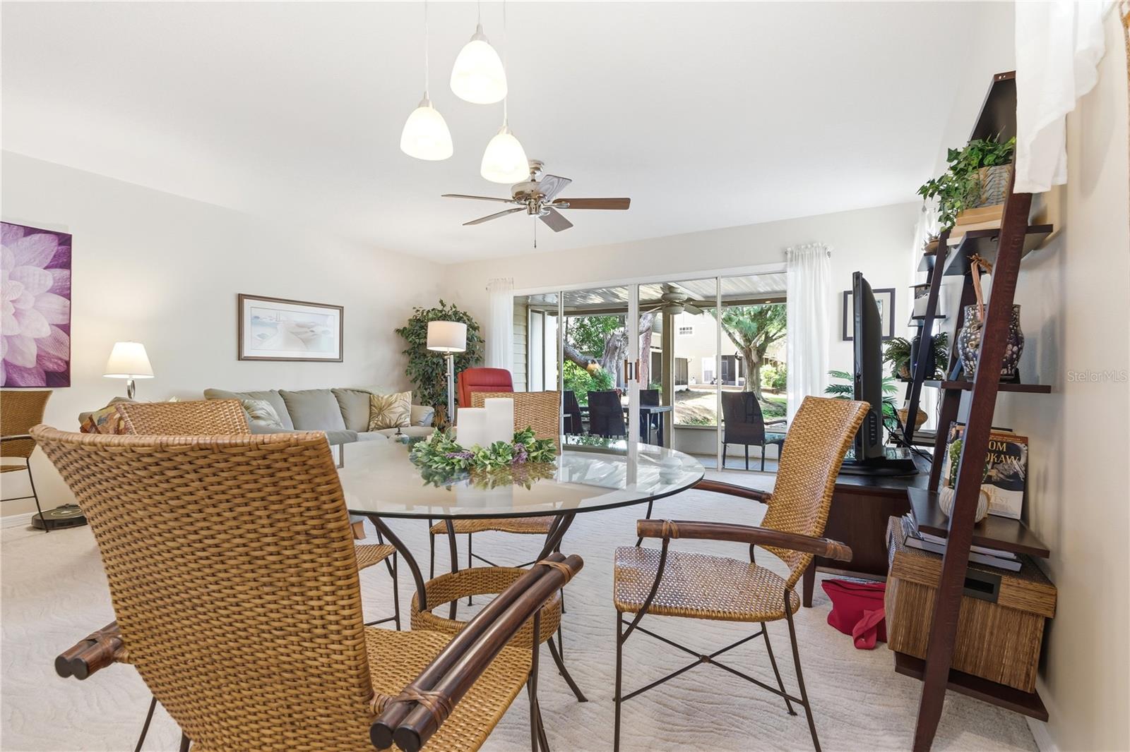 9034 LAKE PLACE LN #9034, TAMPA, FL, 33634