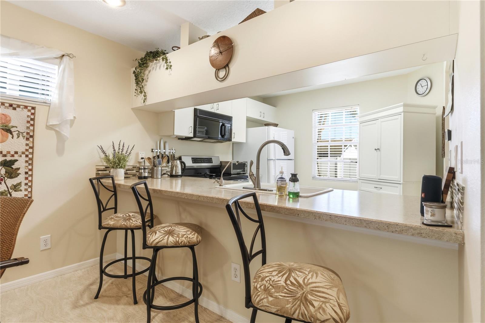 9034 LAKE PLACE LN #9034, TAMPA, FL, 33634