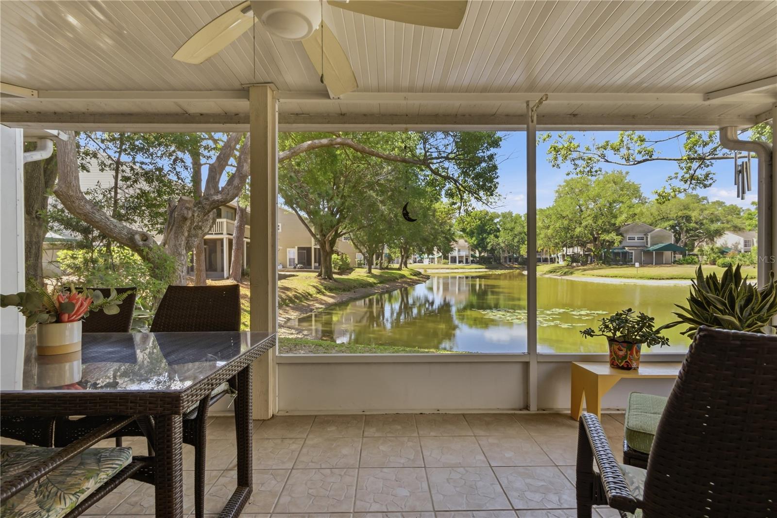 9034 LAKE PLACE LN #9034, TAMPA, FL, 33634