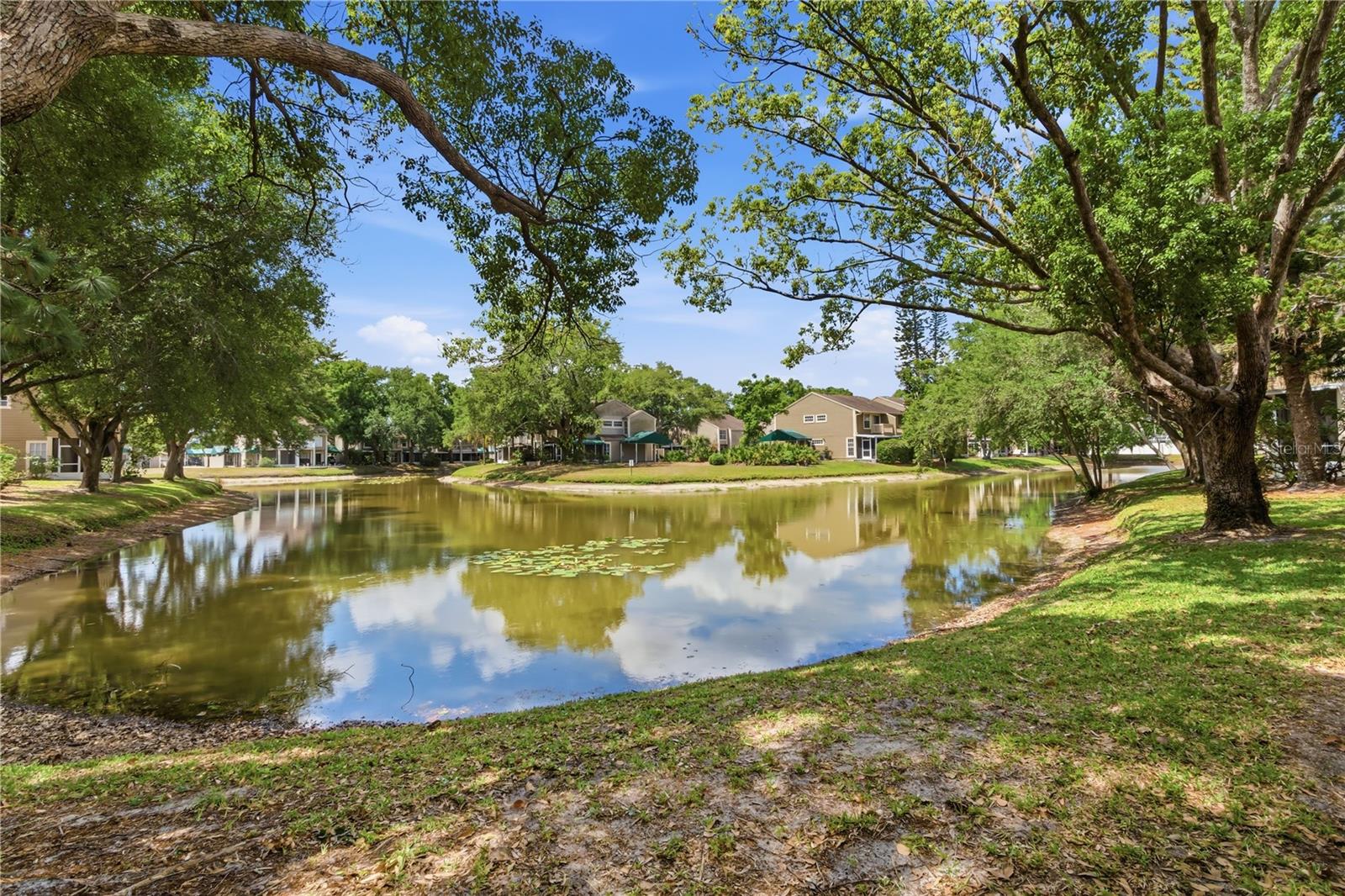 9034 LAKE PLACE LN #9034, TAMPA, FL, 33634