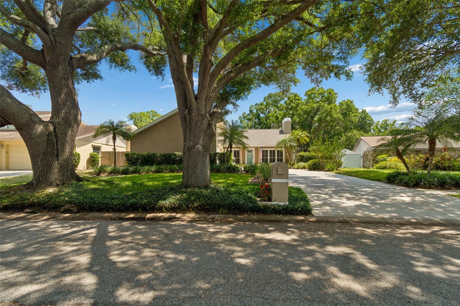 3104 TARABROOK DR, TAMPA, FL, 33618