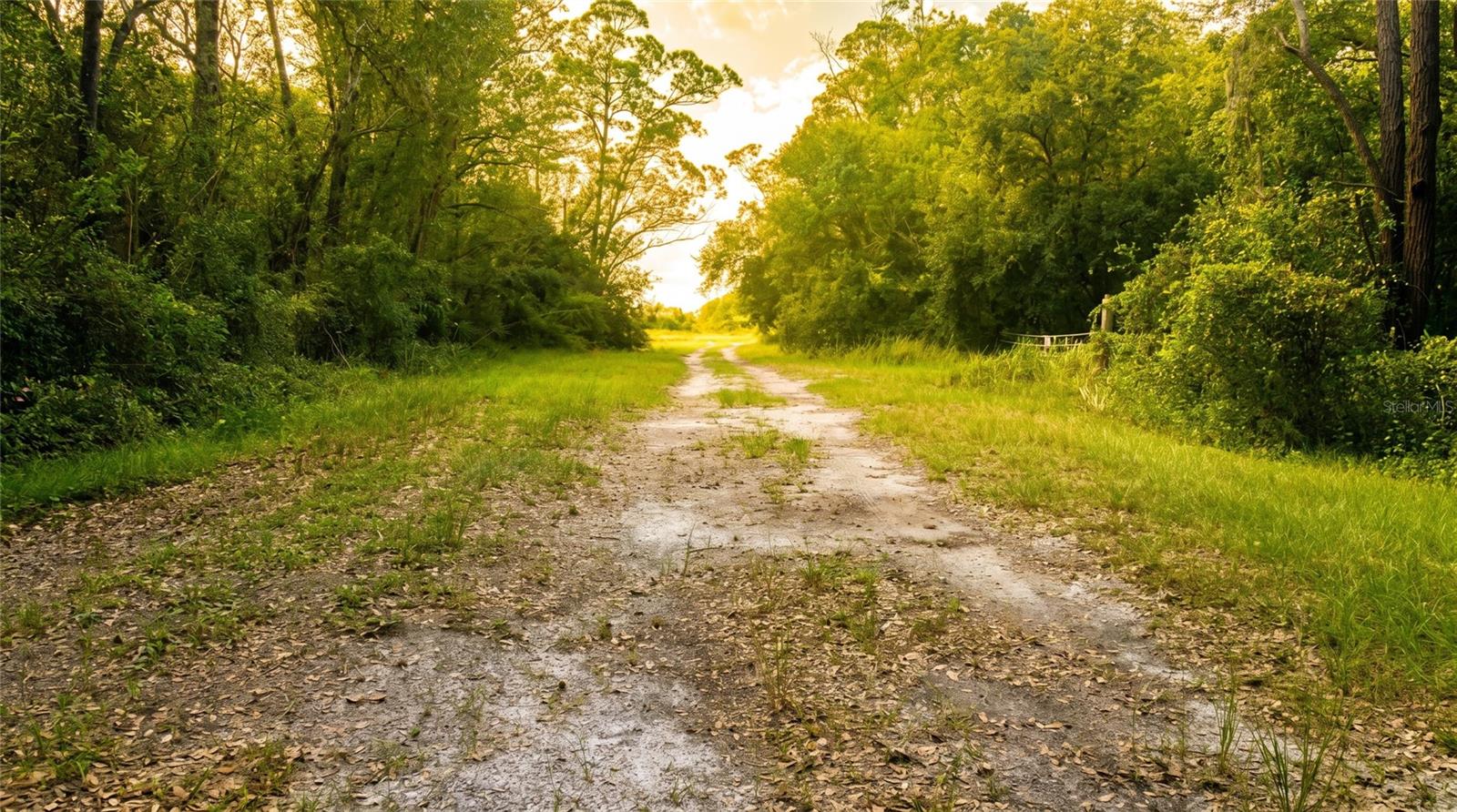 17875 NW 254TH ST, OKEECHOBEE, FL, 34972