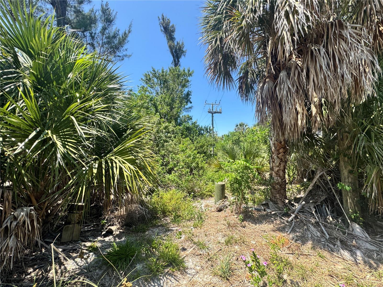 8992 SEAGRAPE LN, PLACIDA, FL, 33946