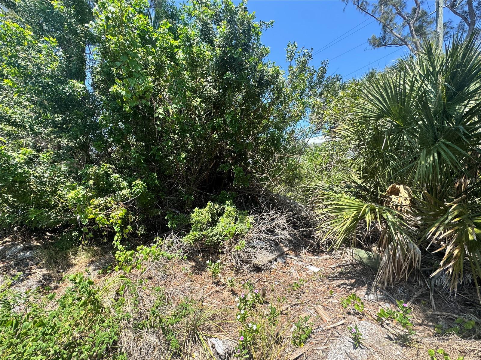 8992 SEAGRAPE LN, PLACIDA, FL, 33946