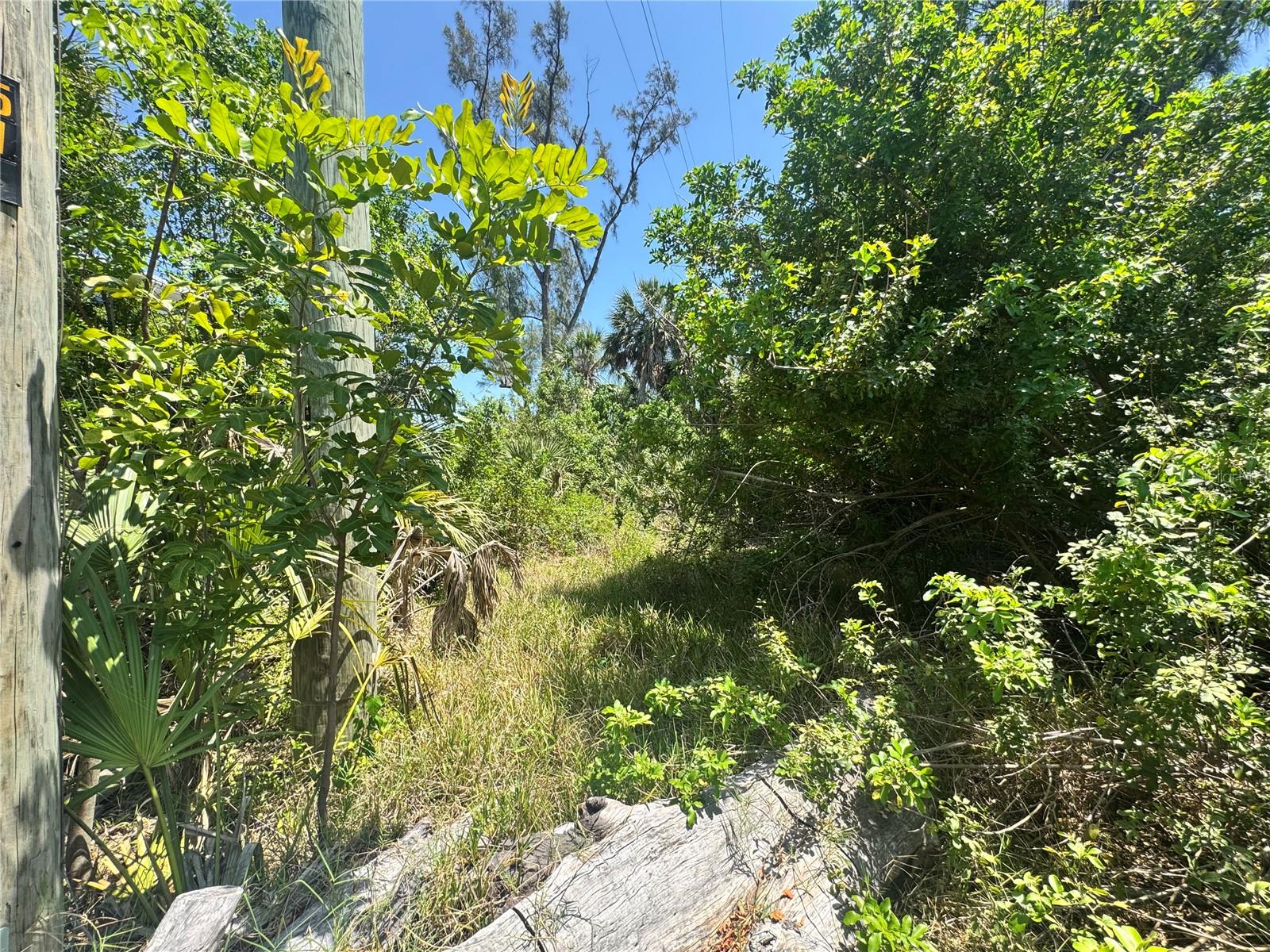 8992 SEAGRAPE LN, PLACIDA, FL, 33946