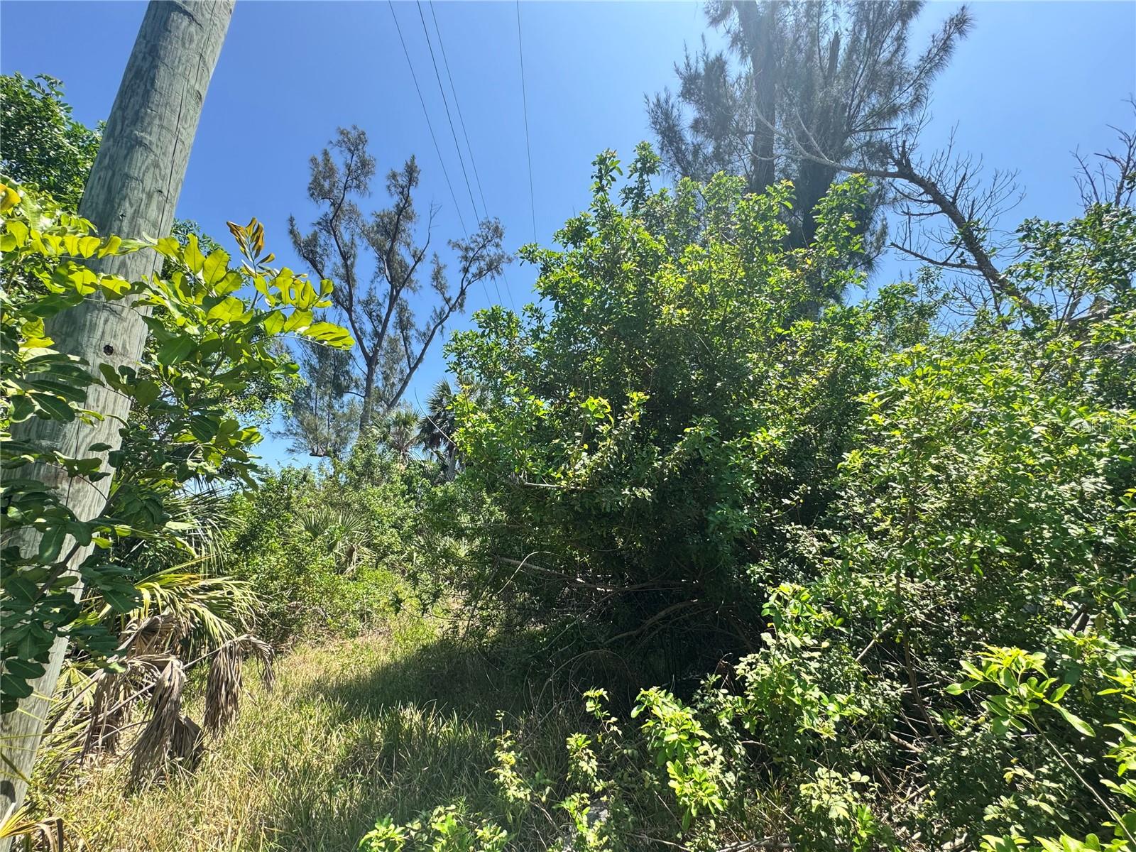 8992 SEAGRAPE LN, PLACIDA, FL, 33946