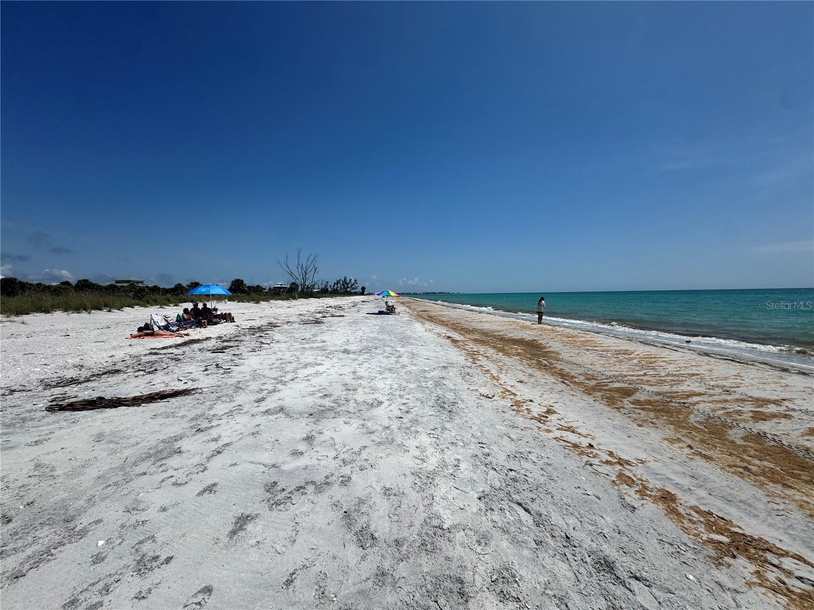 8992 SEAGRAPE LN, PLACIDA, FL, 33946