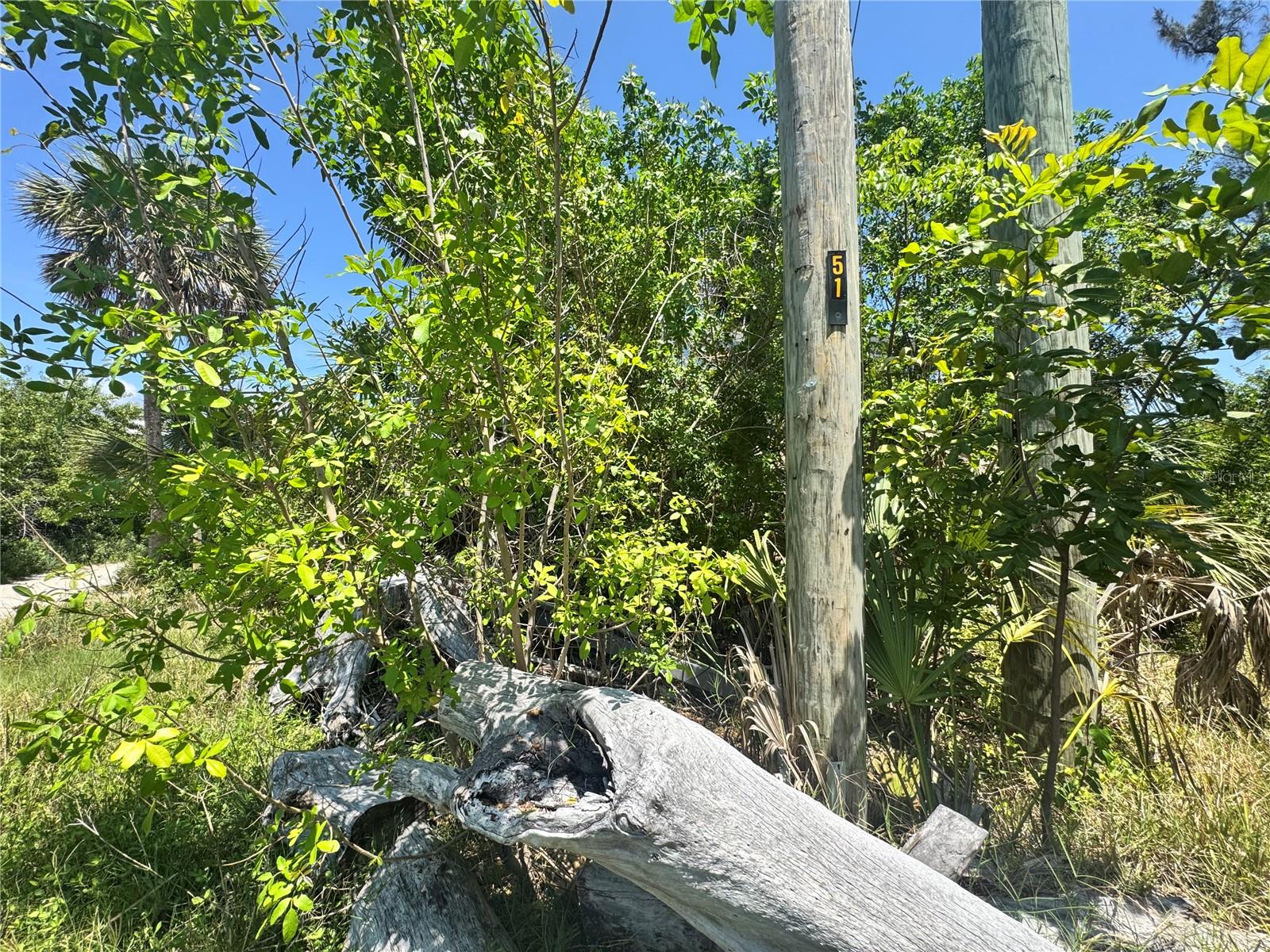 8992 SEAGRAPE LN, PLACIDA, FL, 33946