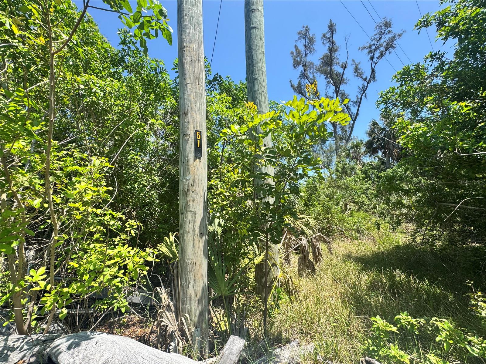 8992 SEAGRAPE LN, PLACIDA, FL, 33946