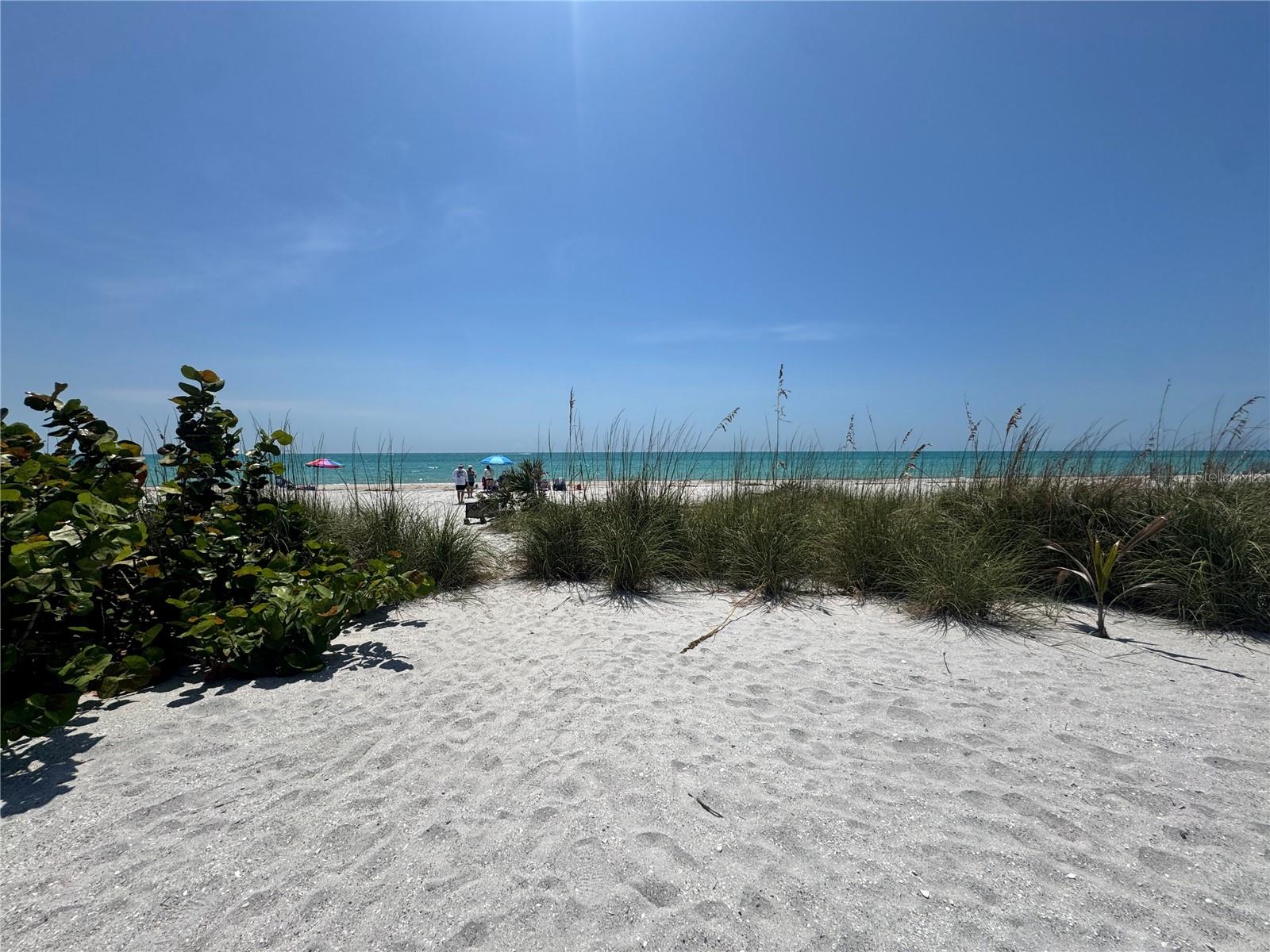 8992 SEAGRAPE LN, PLACIDA, FL, 33946