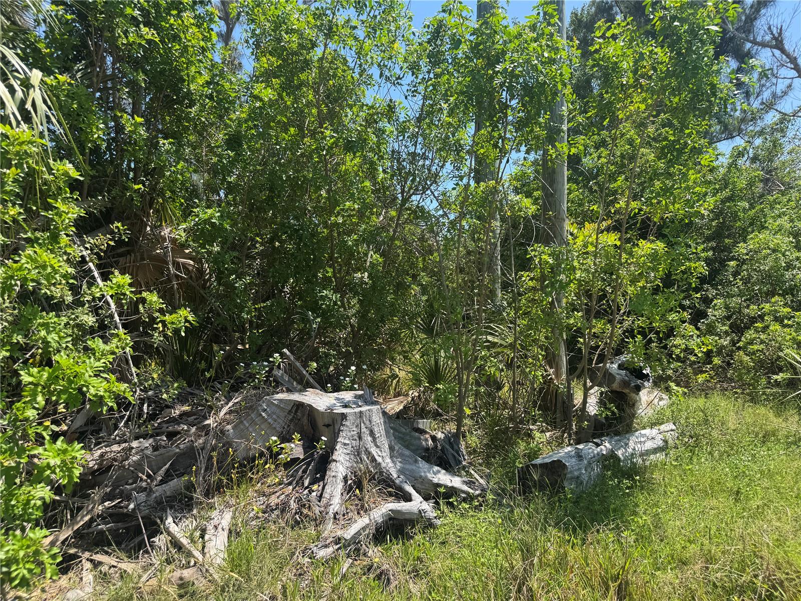 8992 SEAGRAPE LN, PLACIDA, FL, 33946