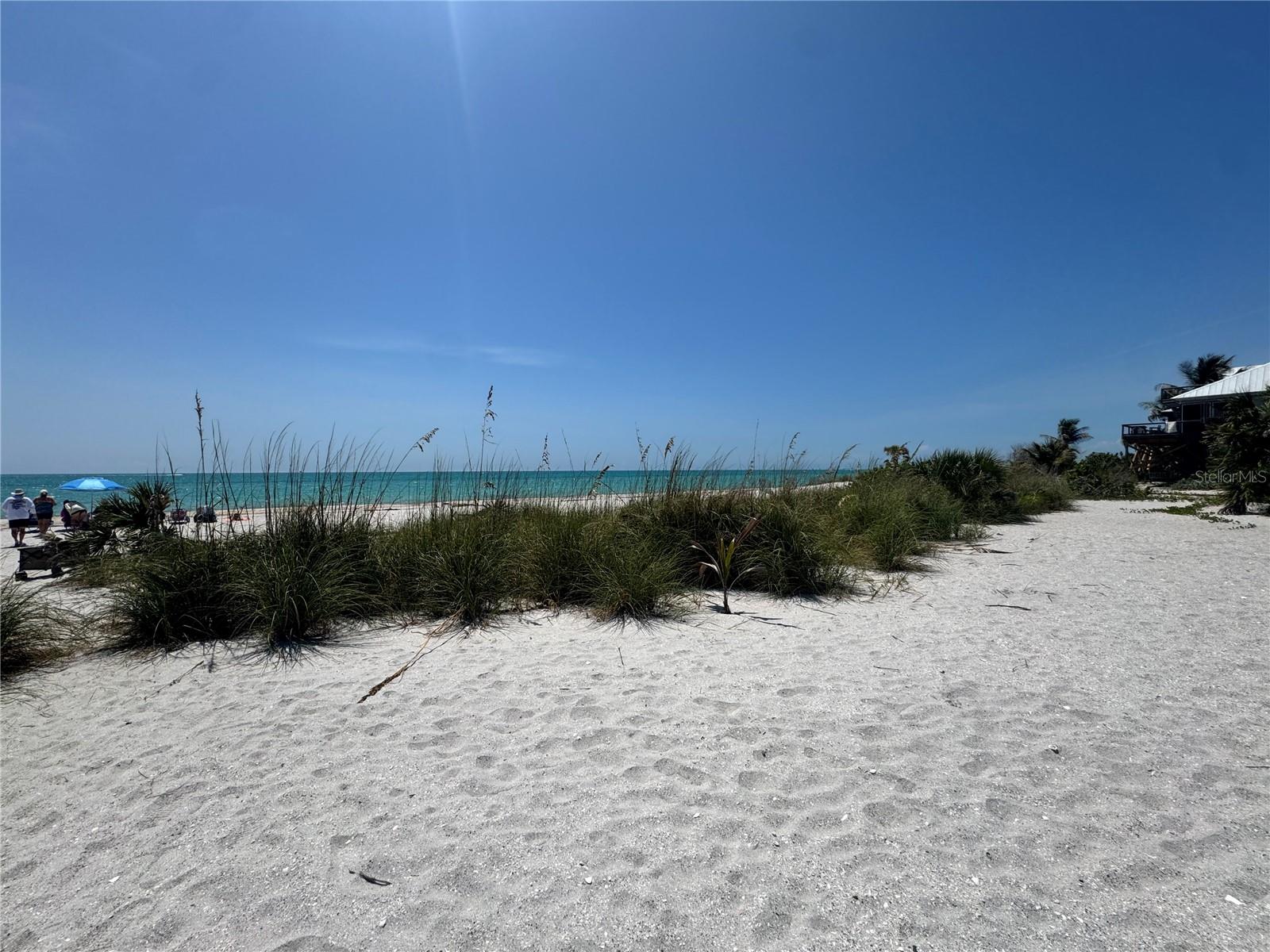 8992 SEAGRAPE LN, PLACIDA, FL, 33946