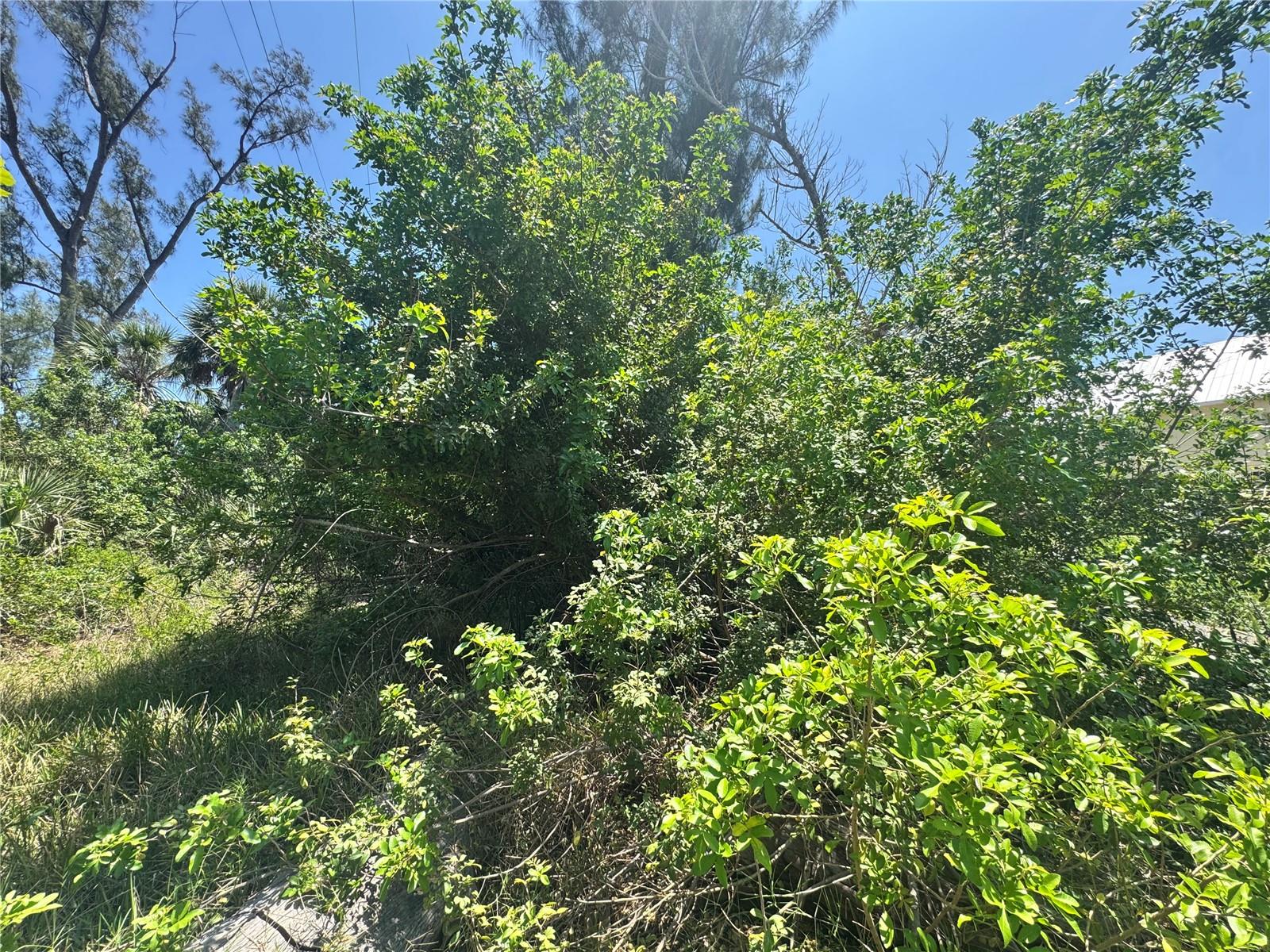 8992 SEAGRAPE LN, PLACIDA, FL, 33946