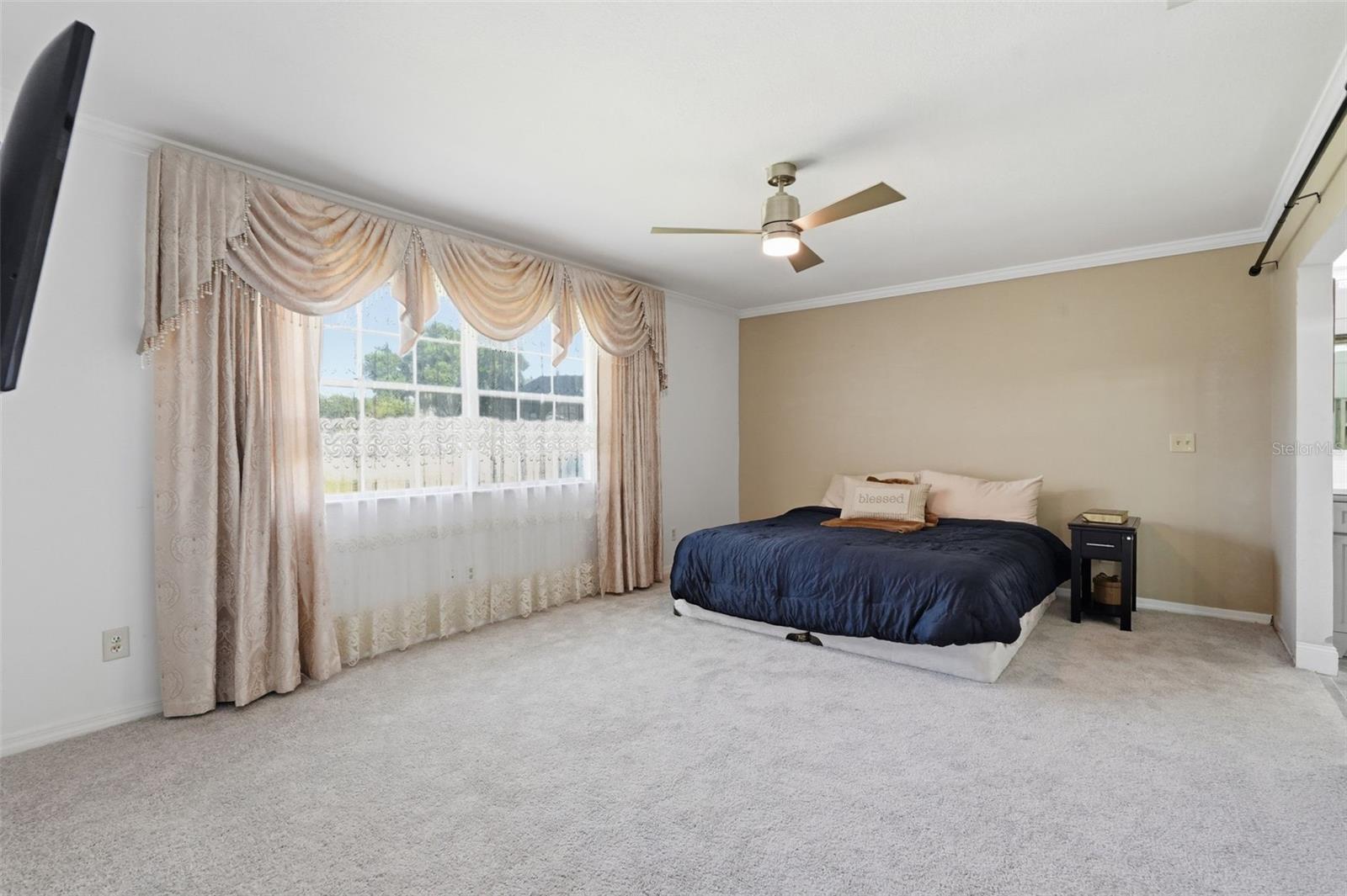 3678 E LAKE DR, LAND O LAKES, FL, 34639