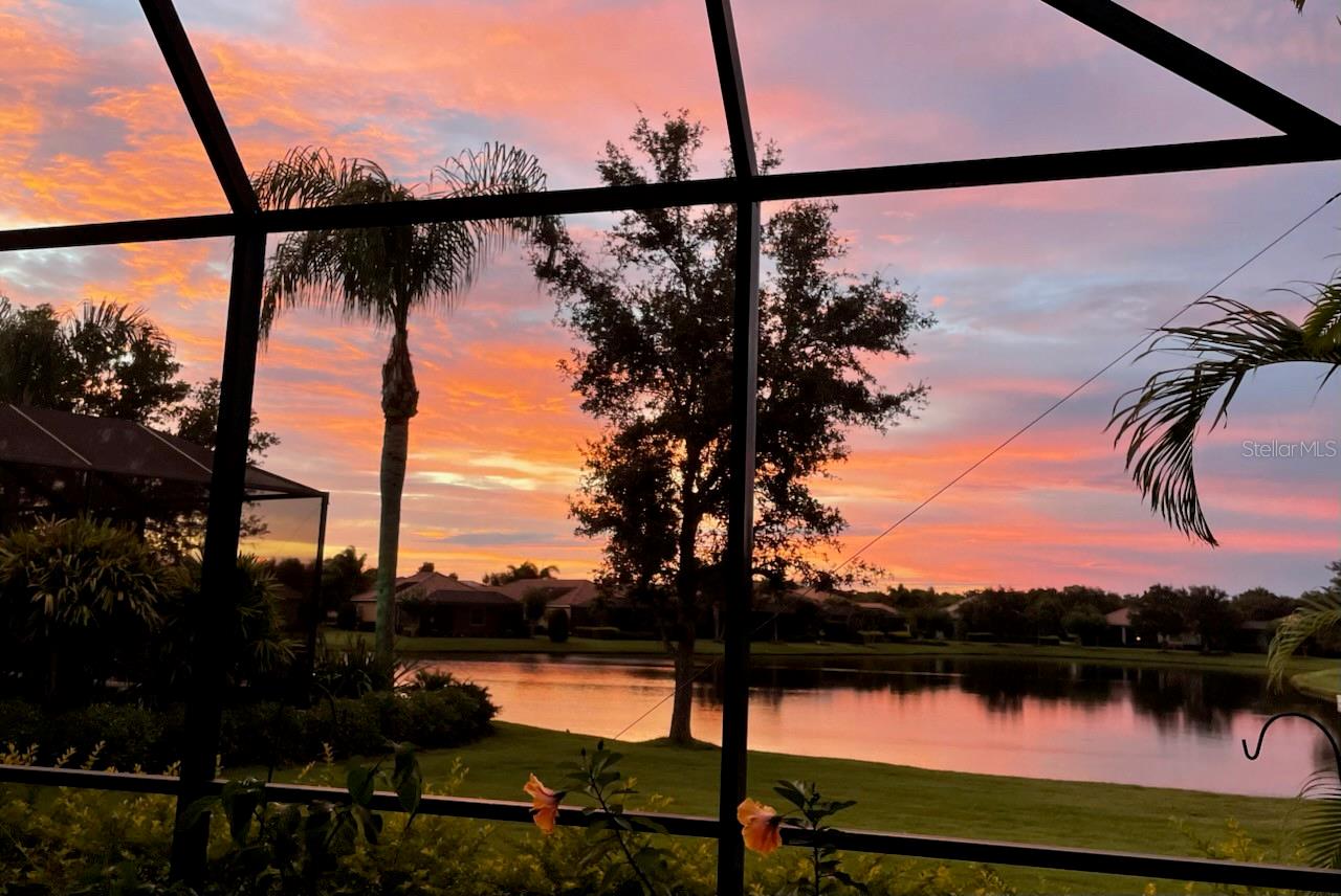 14435 WHITEMOSS TER, LAKEWOOD RANCH, FL, 34202