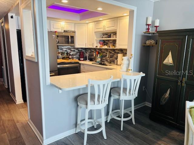 4575 COVE CIR #1105, ST PETERSBURG, FL, 33708