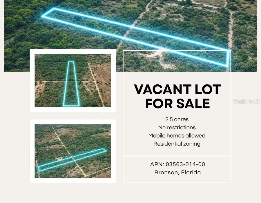 NE 56TH ST, BRONSON, FL, 32621