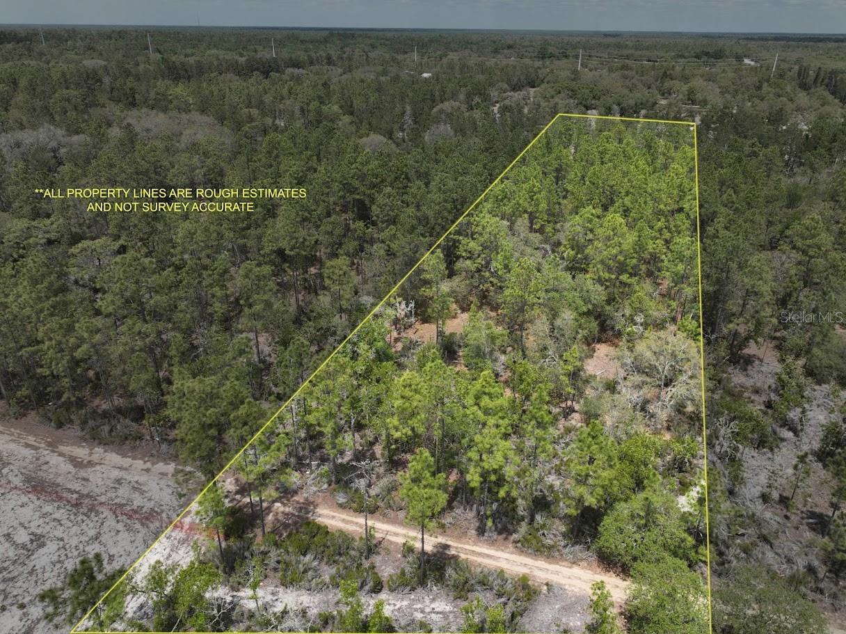 NE 56TH ST, BRONSON, FL, 32621